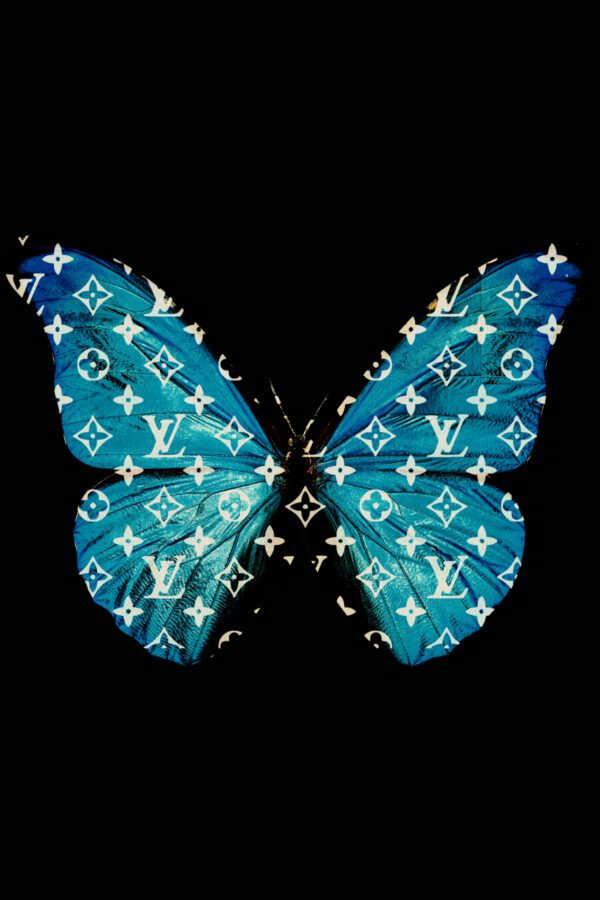 Butterfly Blue Louis